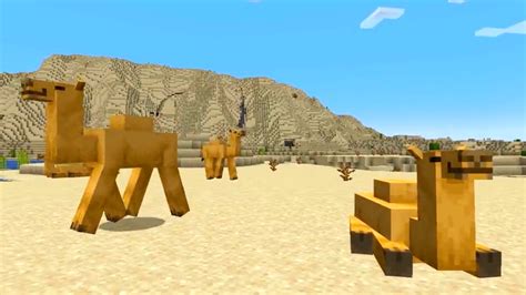 How to dismount a camel in minecraft  This special feature allows them to jump an impressive distance at a very rapid speed
